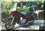 W-Honda-1.jpg