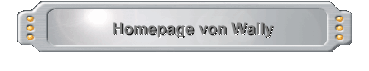 Homepage von Wally