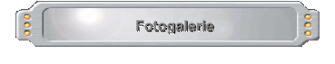 Fotogalerie