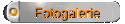 Fotogalerie
